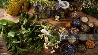 佛山桑拿按摩的地域特色：从岭南文化中汲取的养生智慧