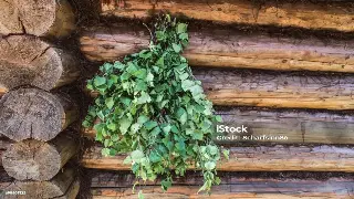 佛山桑拿业迎来新规范时代：健康、安全与舒适并重 封面