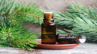 佛山桑拿按摩：名人轶事中的养生之道，历史文化与现代SPA的融合