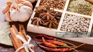 佛山桑拿按摩：岭南水乡的养生文化与地域特色