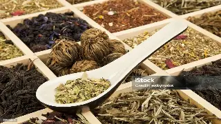 禅城足浴：千年岭南水乡的养生智慧与现代演绎