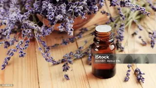 按摩工具巧利用：佛山桑拿按摩提升体验的秘诀与行业动向