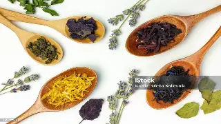 佛山名士的养生秘笈：比996还狠？揭秘你不知道的“内卷式”养生法