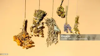 按摩棒选购避坑指南：佛山老司机教你如何用工具按出专业级舒爽！