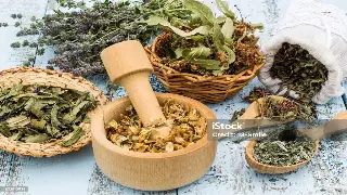 古韵佛山：探寻名人轶事背后的养生智慧 封面