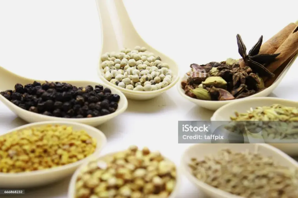 佛山历史名人画像