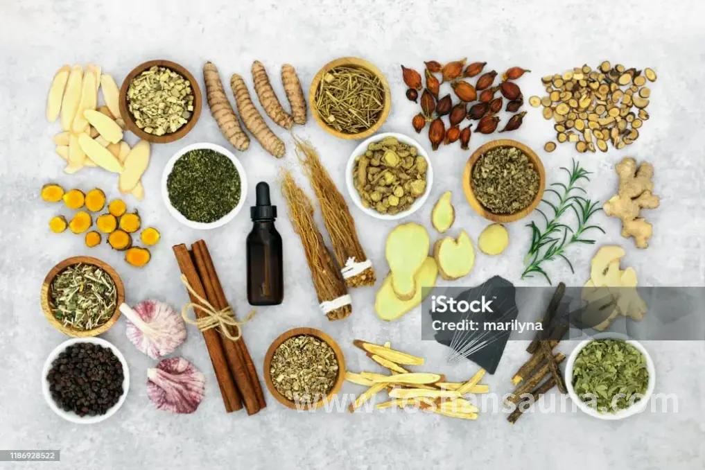 静心堂绿植环绕的休息区